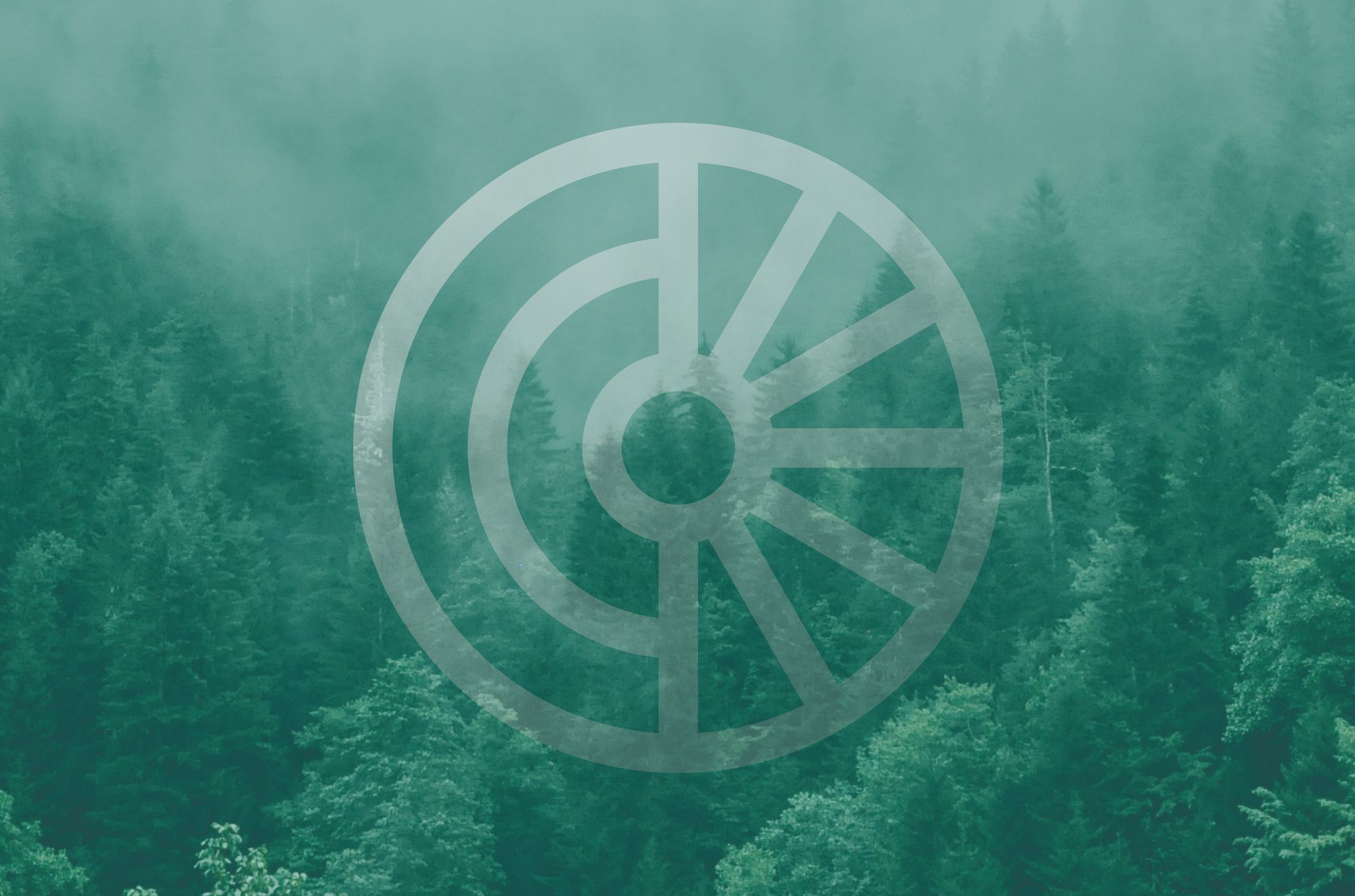 why-weve-rebranded-and-what-it-means