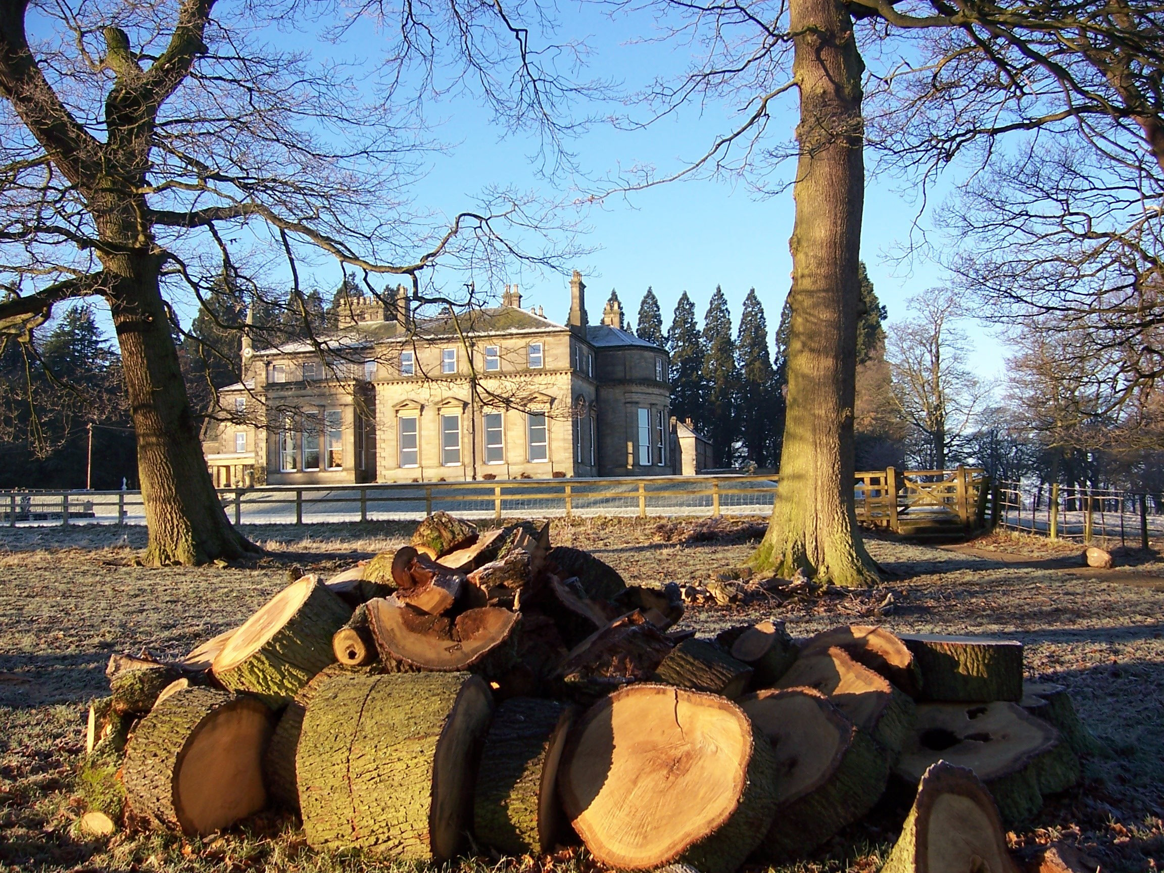 Minsteracres over log pile